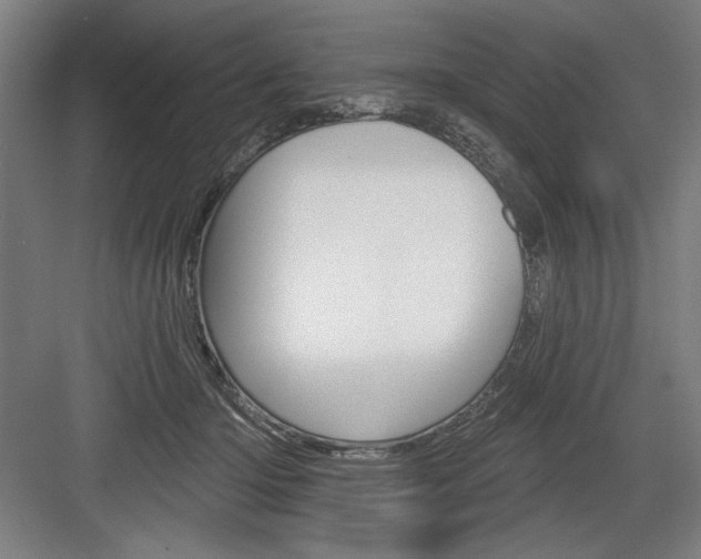 X0000083650414200702121155