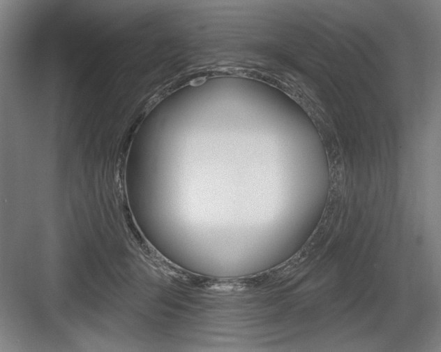 X0000083650415200702121155