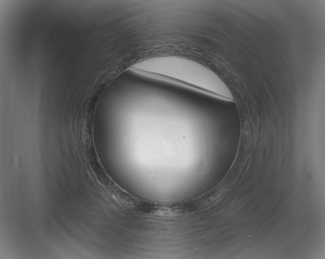 X0000083650416200702121155