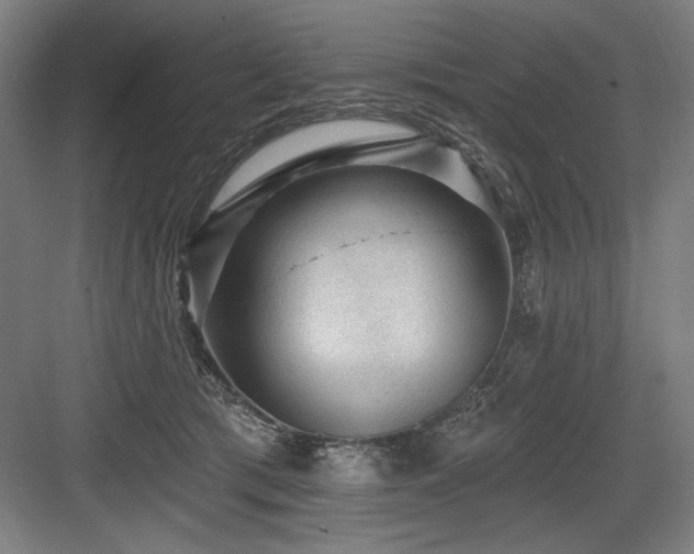 X0000083650417200702121155