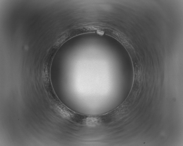 X0000083650418200702121155
