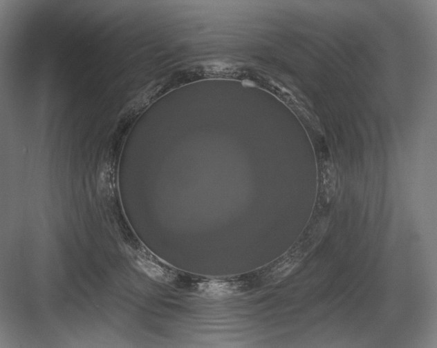 X0000083650419200702121155