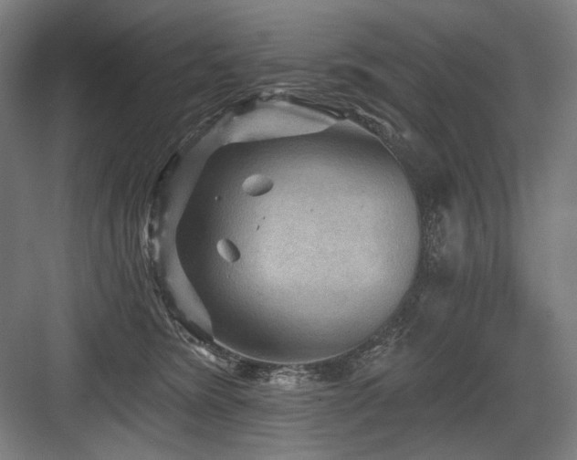X0000083650420200702121155