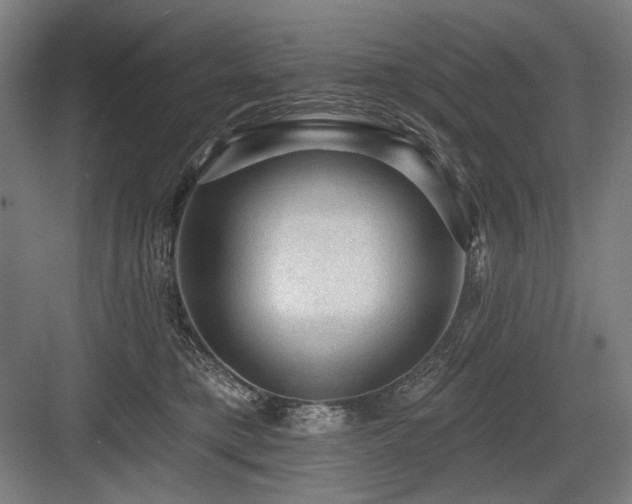 X0000083650421200702121155