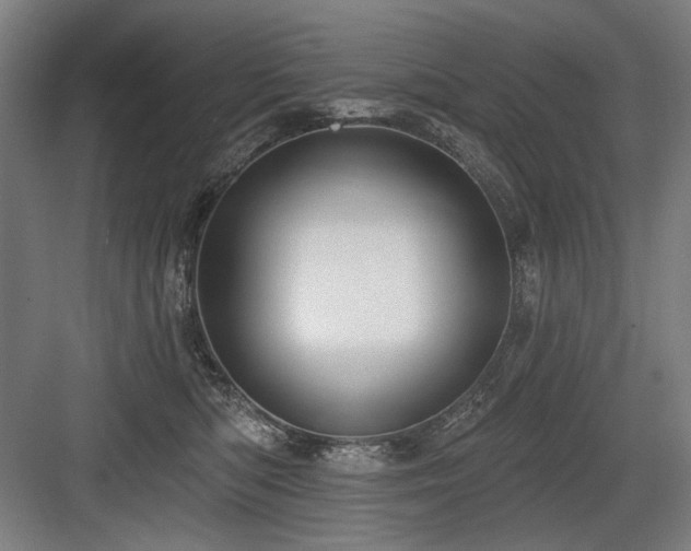 X0000083650422200702121155