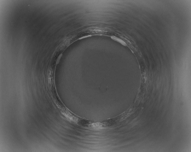 X0000083650423200702121155