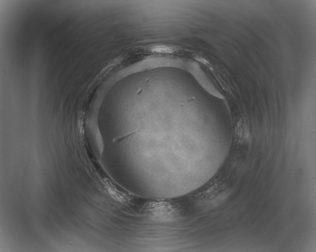X0000083650424200702121155