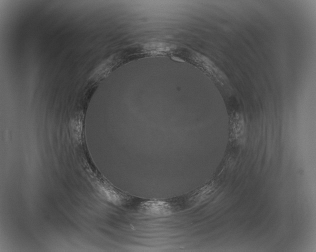 X0000083650427200702121155