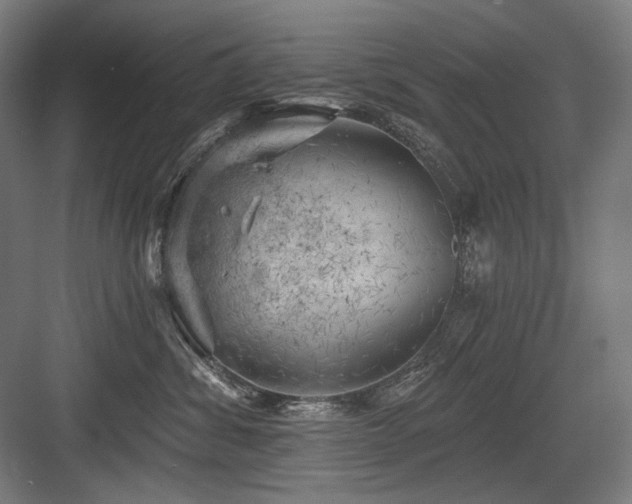 X0000083650428200702121155