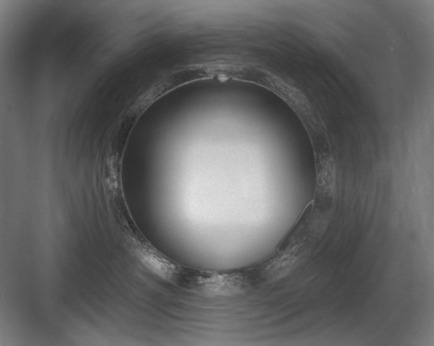 X0000083650430200702121155
