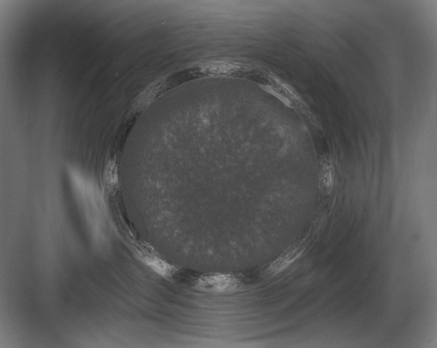 X0000083650431200702121155