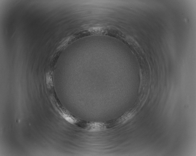 X0000083650432200702121155