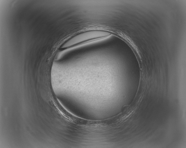 X0000083650433200702121154