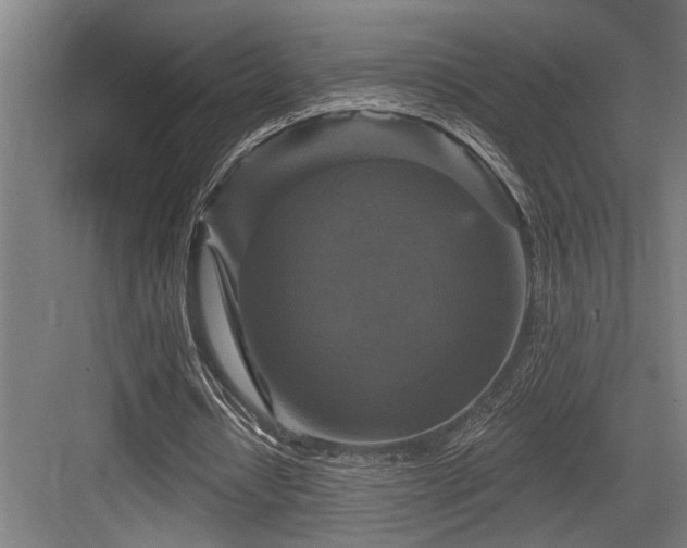 X0000083650434200702121154