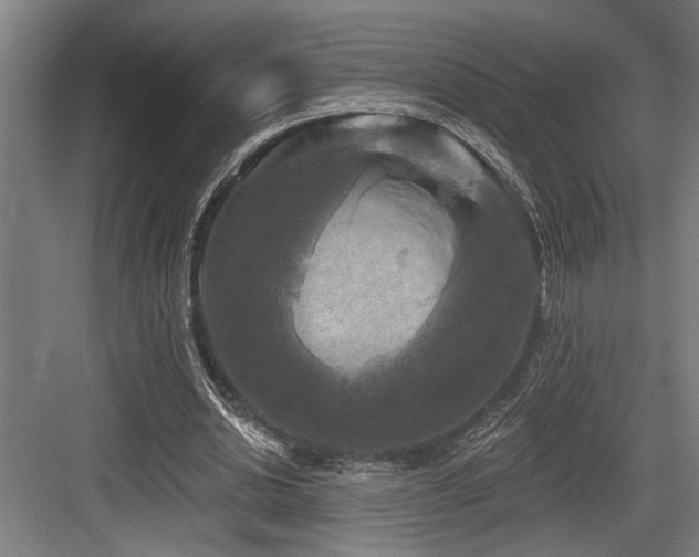 X0000083650438200702121154