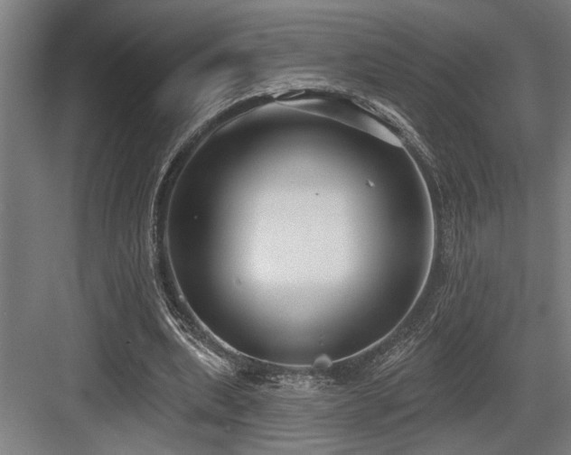 X0000083650439200702121154