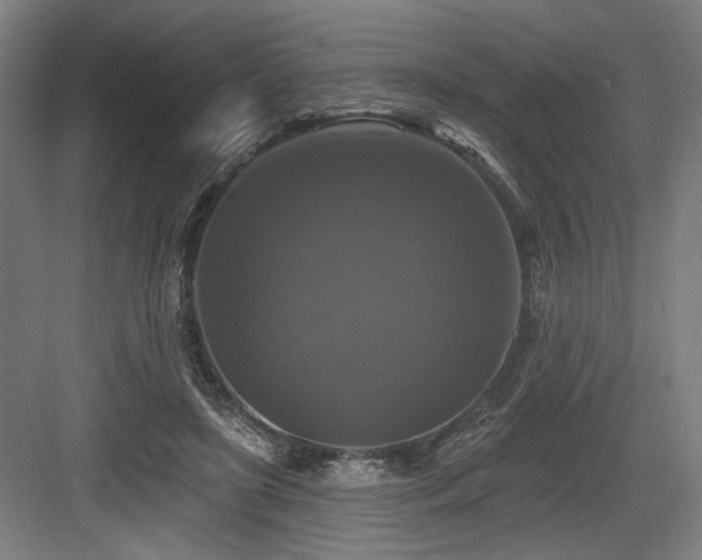 X0000083650451200702121154