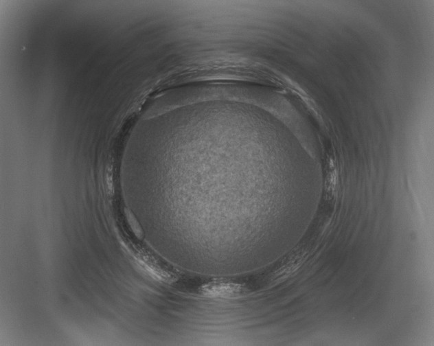 X0000083650452200702121154