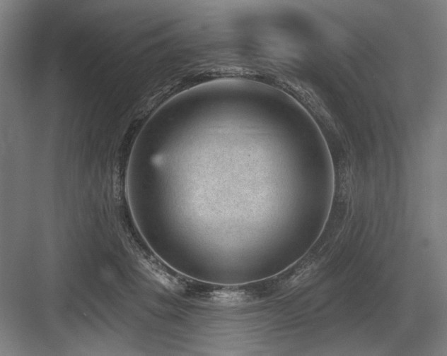 X0000083650457200702121154