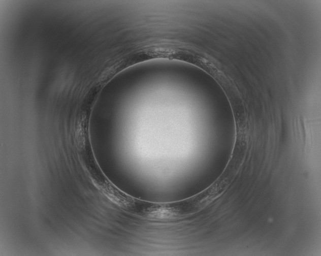 X0000083650460200702121154