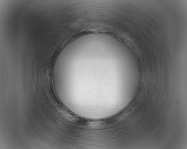 X0000083650461200702121154