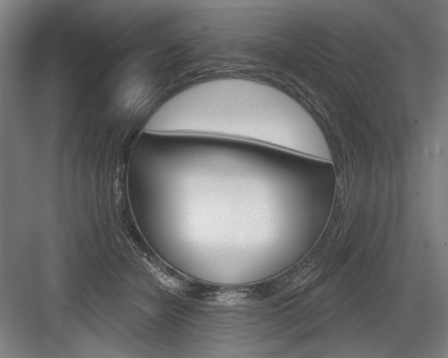X0000083650462200702121154