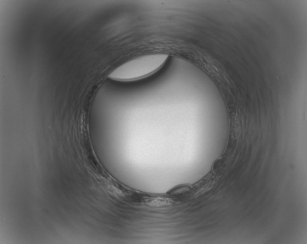 X0000083650463200702121154