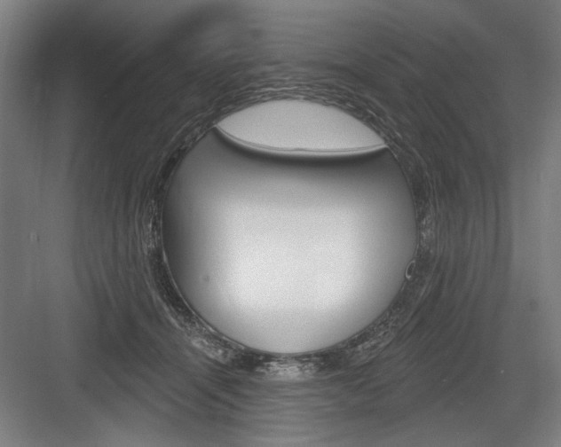 X0000083650464200702121154