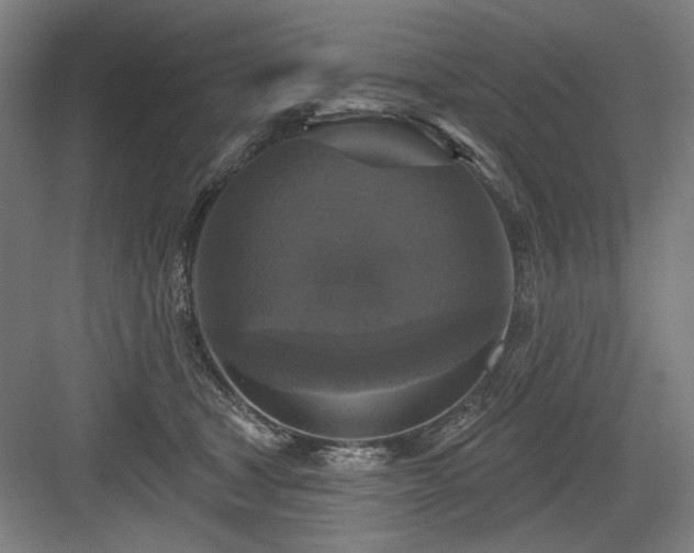 X0000083650465200702121154