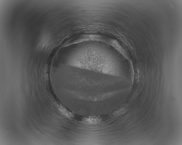 X0000083650466200702121154