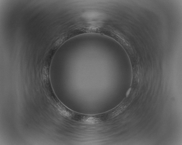 X0000083650467200702121154