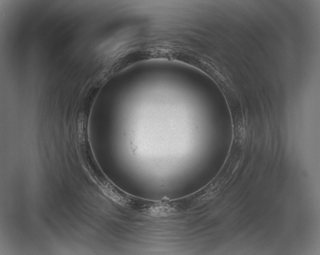 X0000083650468200702121154