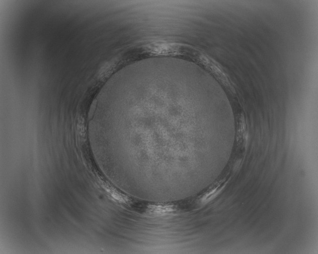 X0000083650469200702121154