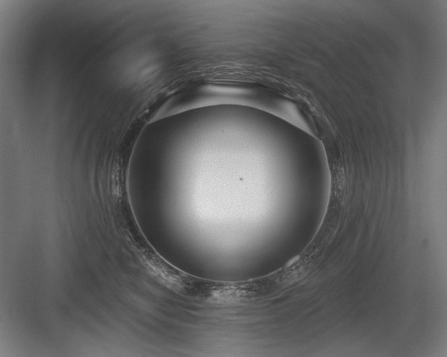 X0000083650470200702121154