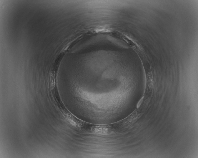 X0000083650471200702121154