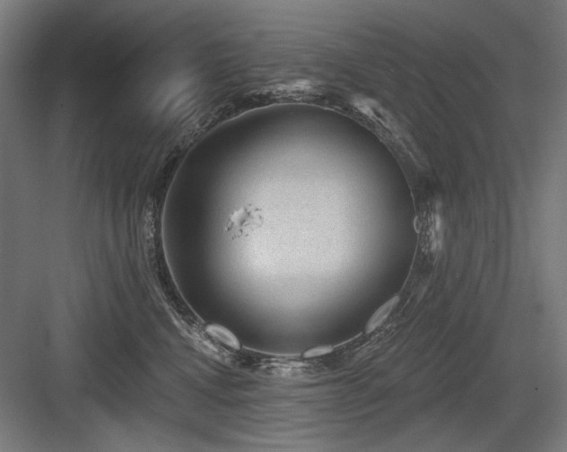 X0000083650472200702121154