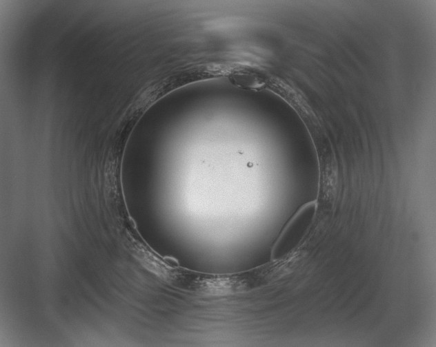 X0000083650473200702121154