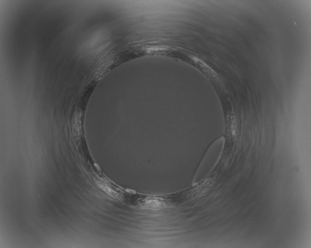 X0000083650475200702121155