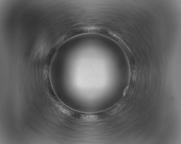 X0000083650476200702121155