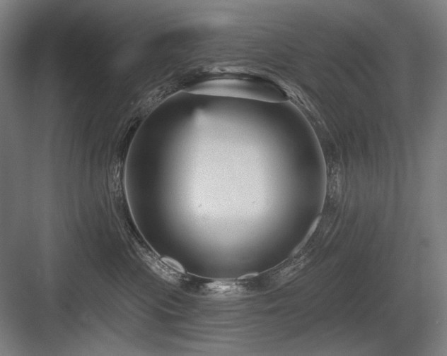 X0000083650477200702121155