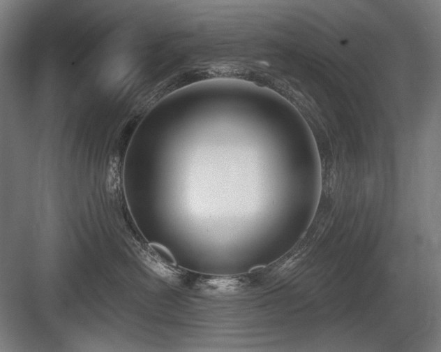 X0000083650478200702121155