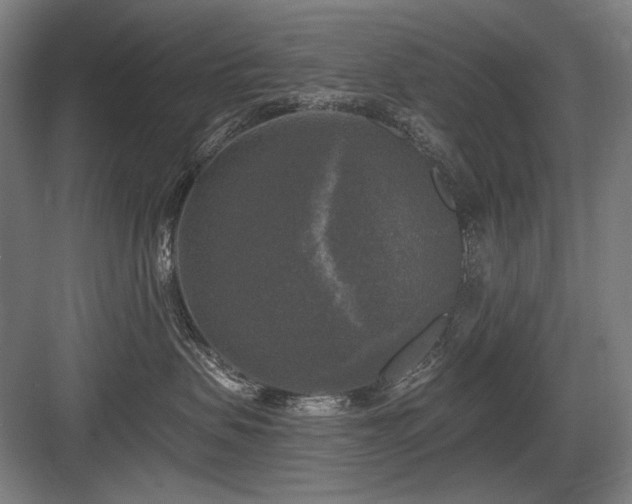 X0000083650479200702121155