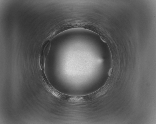 X0000083650480200702121155