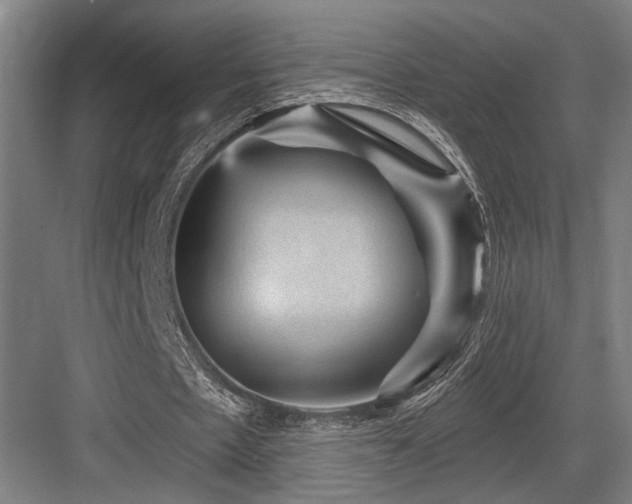 X0000083650481200702121154