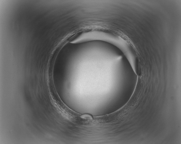X0000083650482200702121154