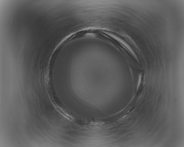 X0000083650484200702121154