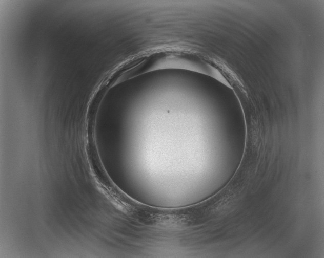 X0000083650486200702121154