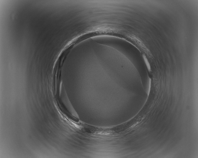 X0000083650488200702121154