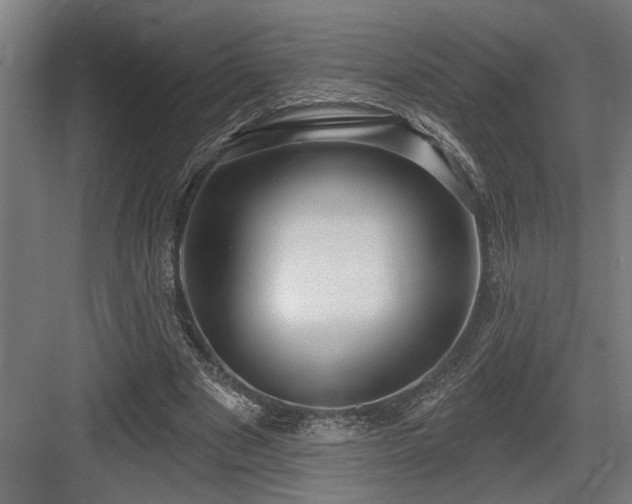 X0000083650489200702121154