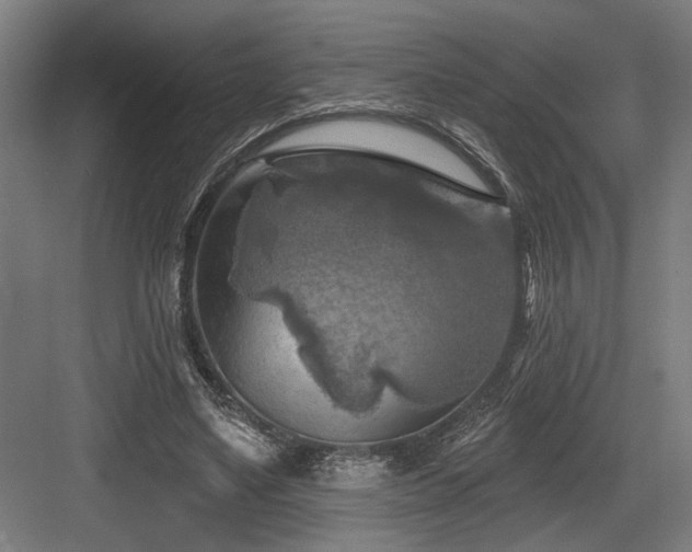 X0000083650491200702121154